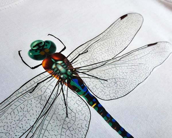 A dragonfly printed and pressed on CL Light